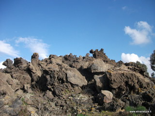 mpanarazzu-27-01-2013 09-49-56